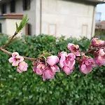 Bed and Breakfast Ai Silio 4*