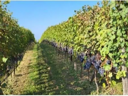 Oda ve Kahvaltı Ai Silio 4*