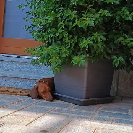 Oda ve Kahvaltı Ai Silio 4*