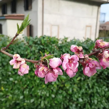 Bed & Breakfast Ai Silio *
