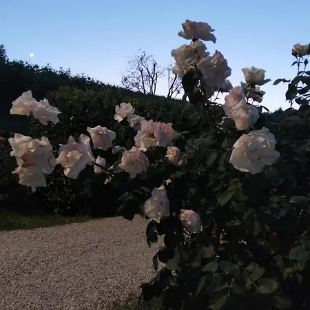 Ai Silio Bed & Breakfast La Morra