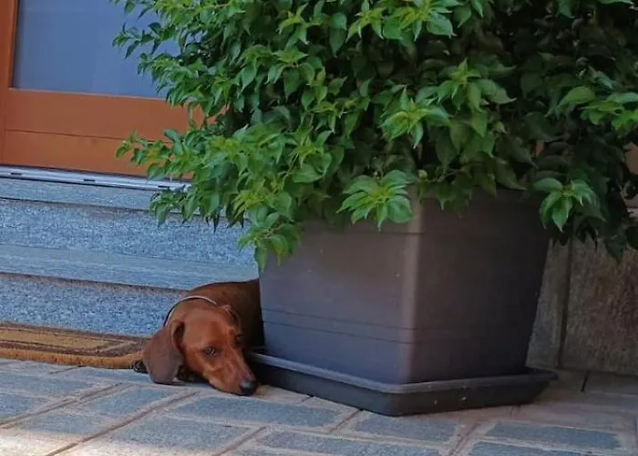 Bed & Breakfast Ai Silio 4*