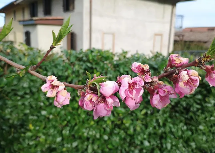 Bed & Breakfast Ai Silio 4*